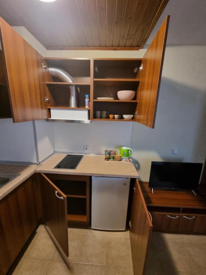 Cosy Apartments Within Walking Distance To Ski Lifts Банско Екстериор снимка